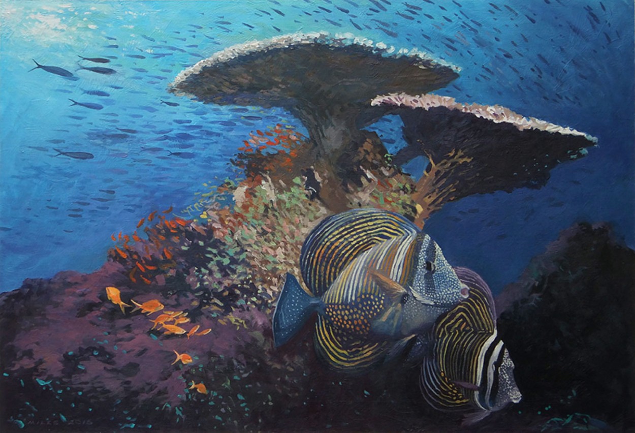 Sailfin Tangs - Gerry Miles Paintings