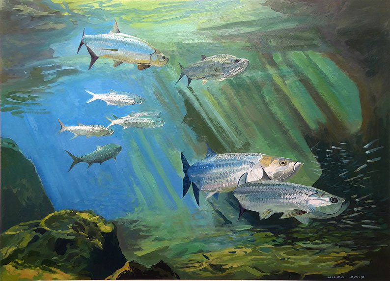 Underwater painting of Tarpon at Chubb Hole by Gerry Miles