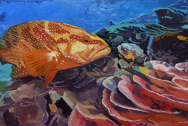 Underwater painting of a red spotted sea bass cruising a coral reef by Gerry Miles