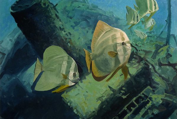 Underwater painting of spadefish Spade fishes above a shipwreck by Gerry Miles