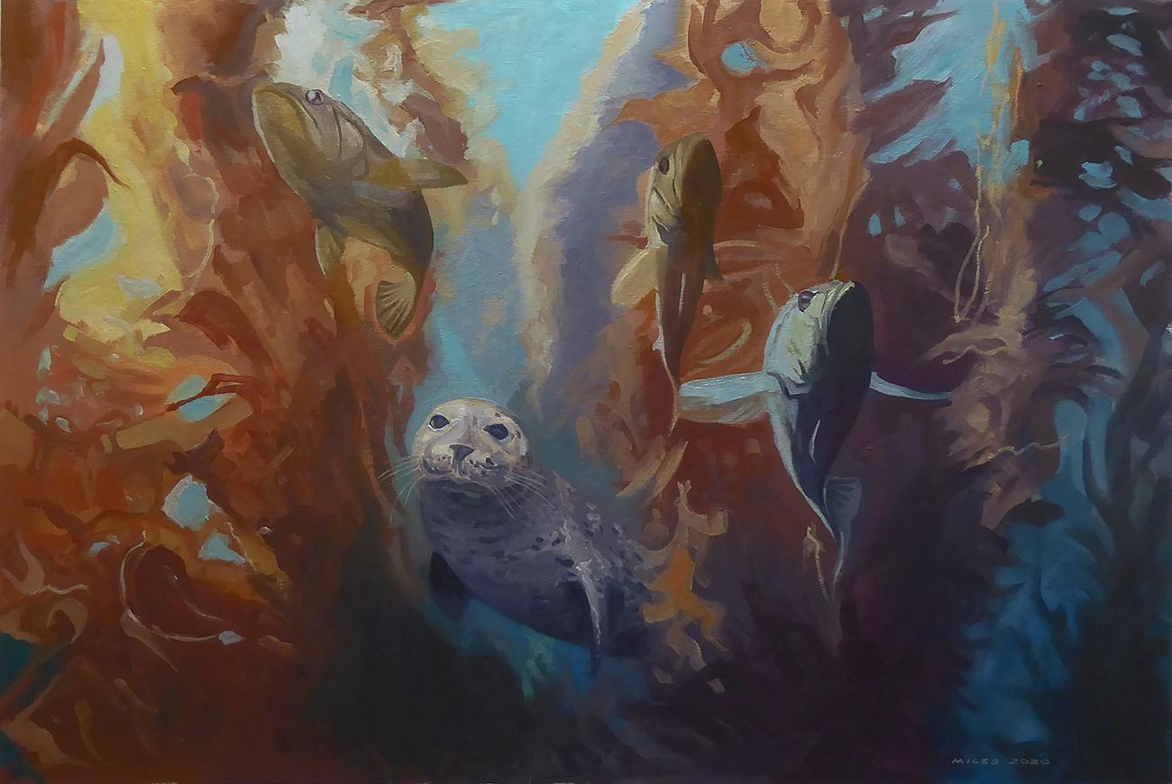 Seal pup hunting in a kelp forest