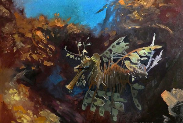 The camouflage of the leafy sea dragon makes it extremely difficult to spot among seaweed.
