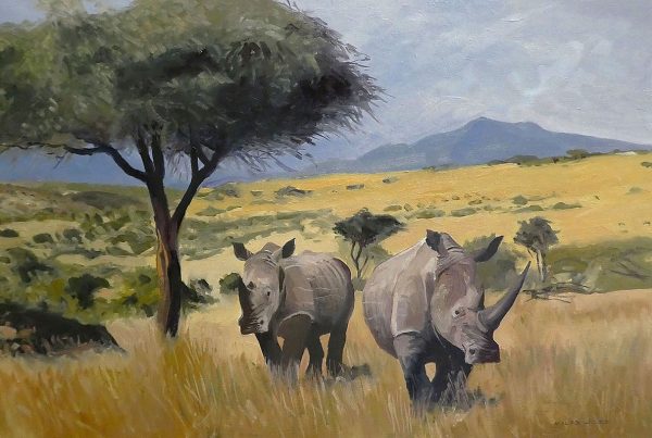 White rhinos in the African veldt will soon be a thing of the past.