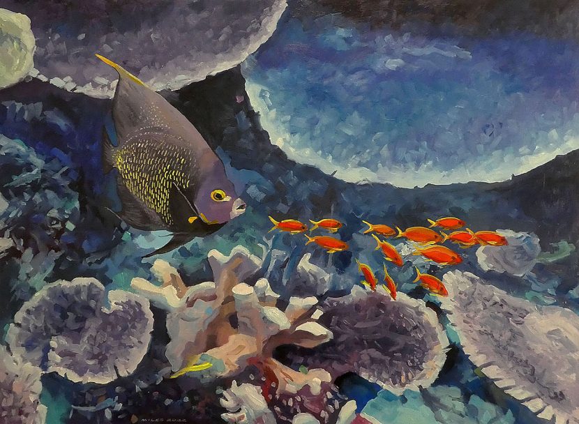 French angelfish with stone corals - Gerry Miles Paintings