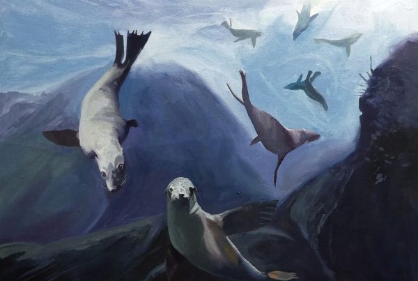 Sea lions gathered at a stormy and turbulent reef.