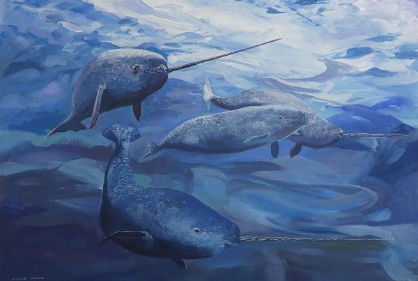 Narwhals are the unicorns of the sea.