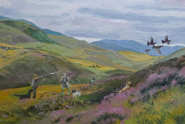 Gun dogs have flushed grouse out of the gorse into the firing line of hunters enjoying a walk up shoot in a secluded Scottish valley.