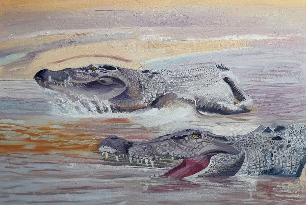 If you holiday in North Queensland and venture to the beaches, beware of box jellyfish when swimming in summer and the presence of salt water crocodiles.