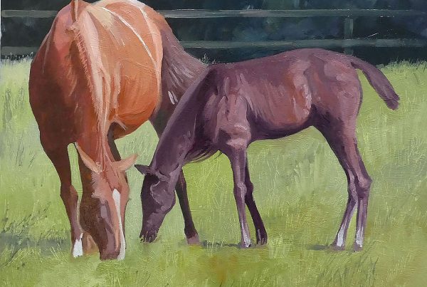 It doesn't take long after being born that foals start to graze on their own.