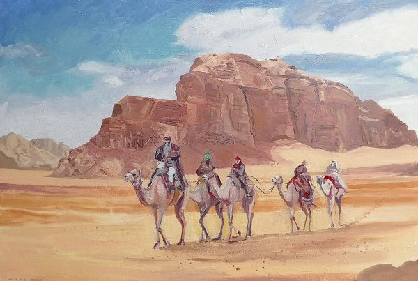 The world's population of dromedary camels ( single hump) have been domesticated and are used for desert transport.