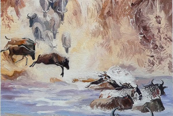 One of the most dangerous moments for wildebeest in their annual migration is crossing the crocodile infested Mara River.